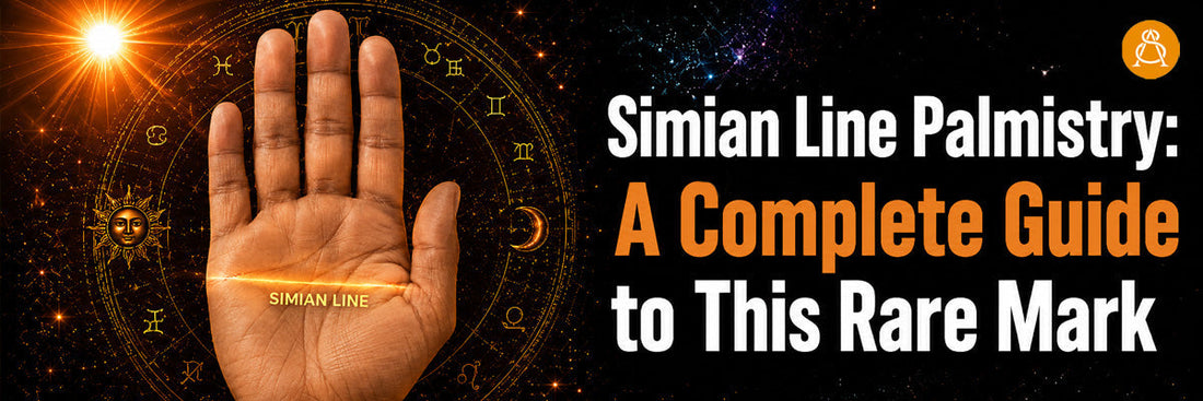 Simian Line Palmistry: A Complete Guide to This Rare Mark – Astroscience