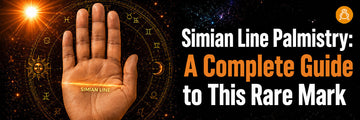 Head Line Palmistry: Types, Signs & Personality Traits – Astroscience