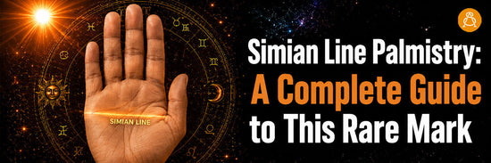 Simian Line Palmistry: A Complete Guide to This Rare Mark – Astroscience