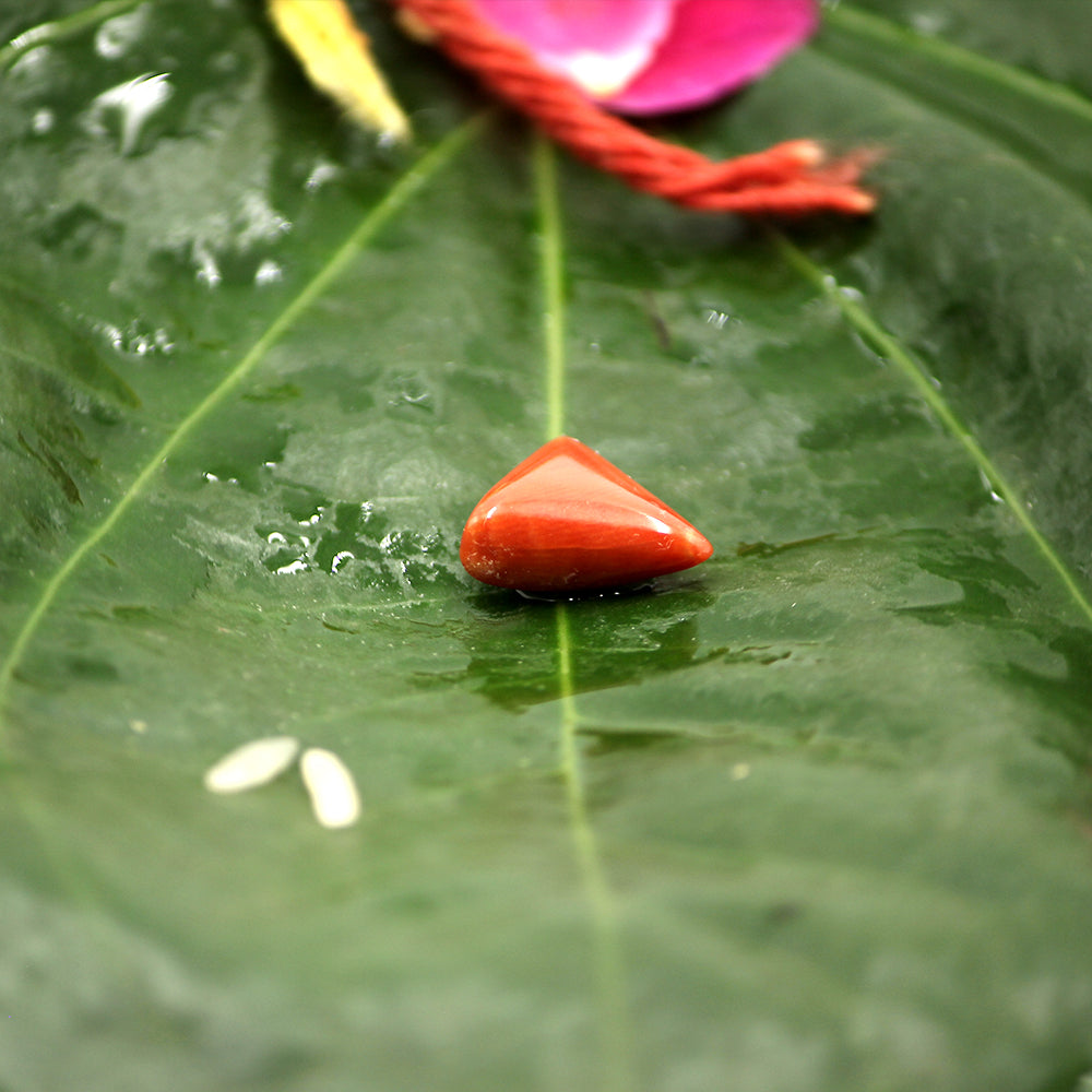 Red Coral Stone