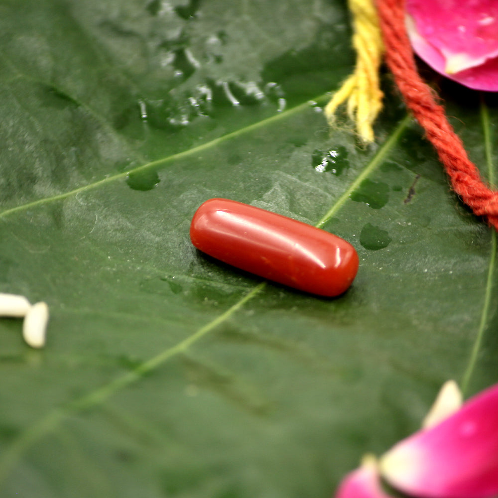 Red Coral Gemstone