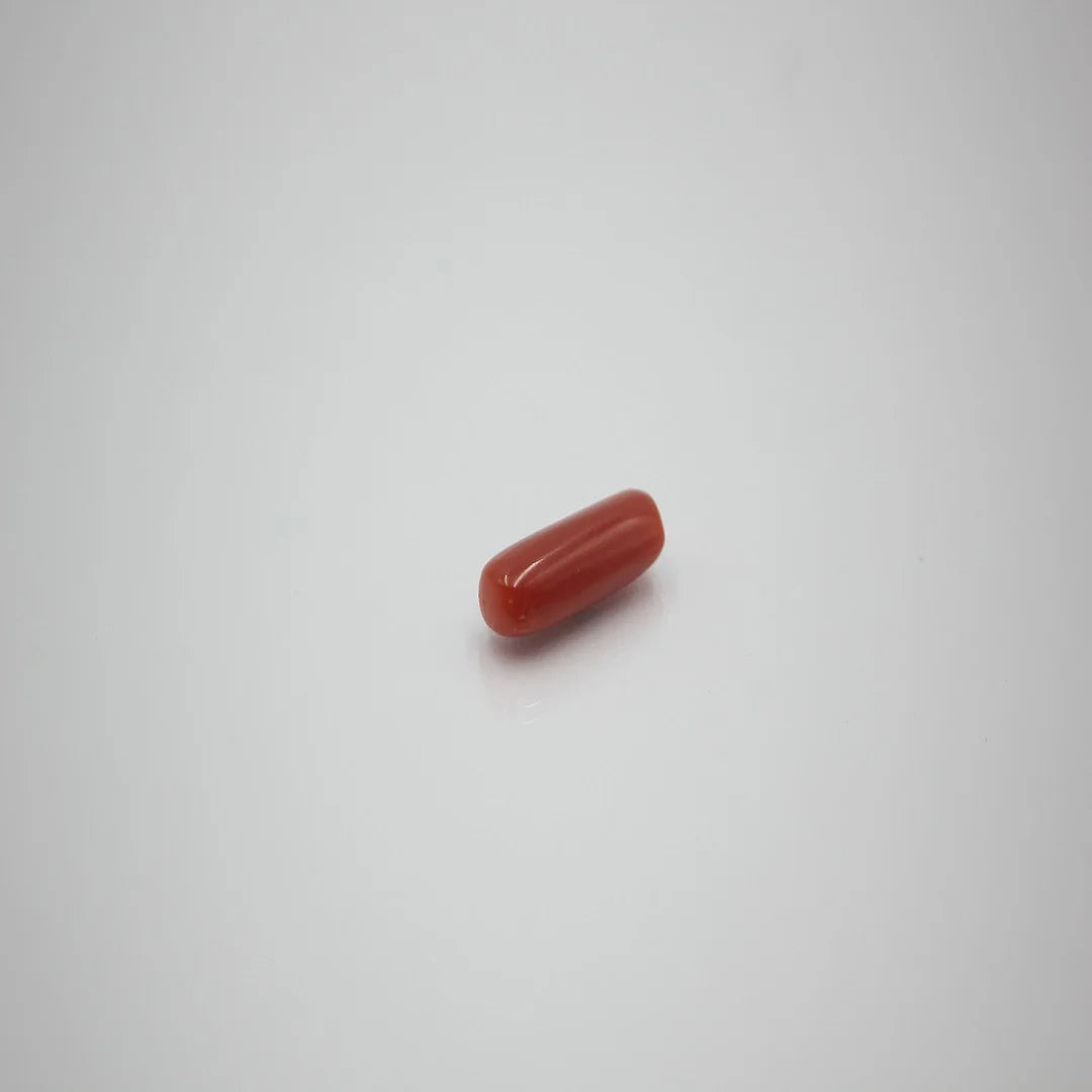 moonga premium 2