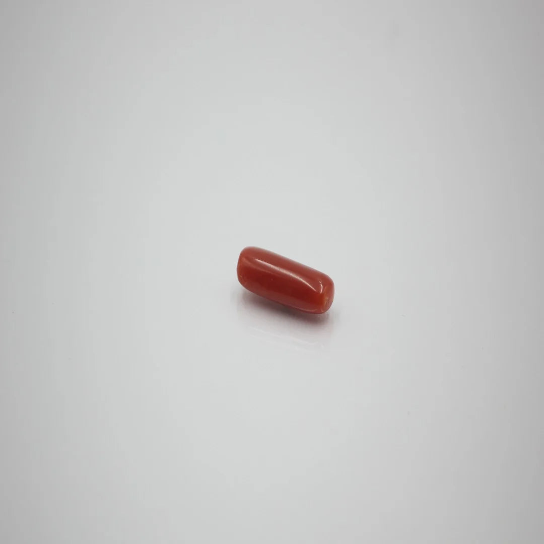 moonga premium 3