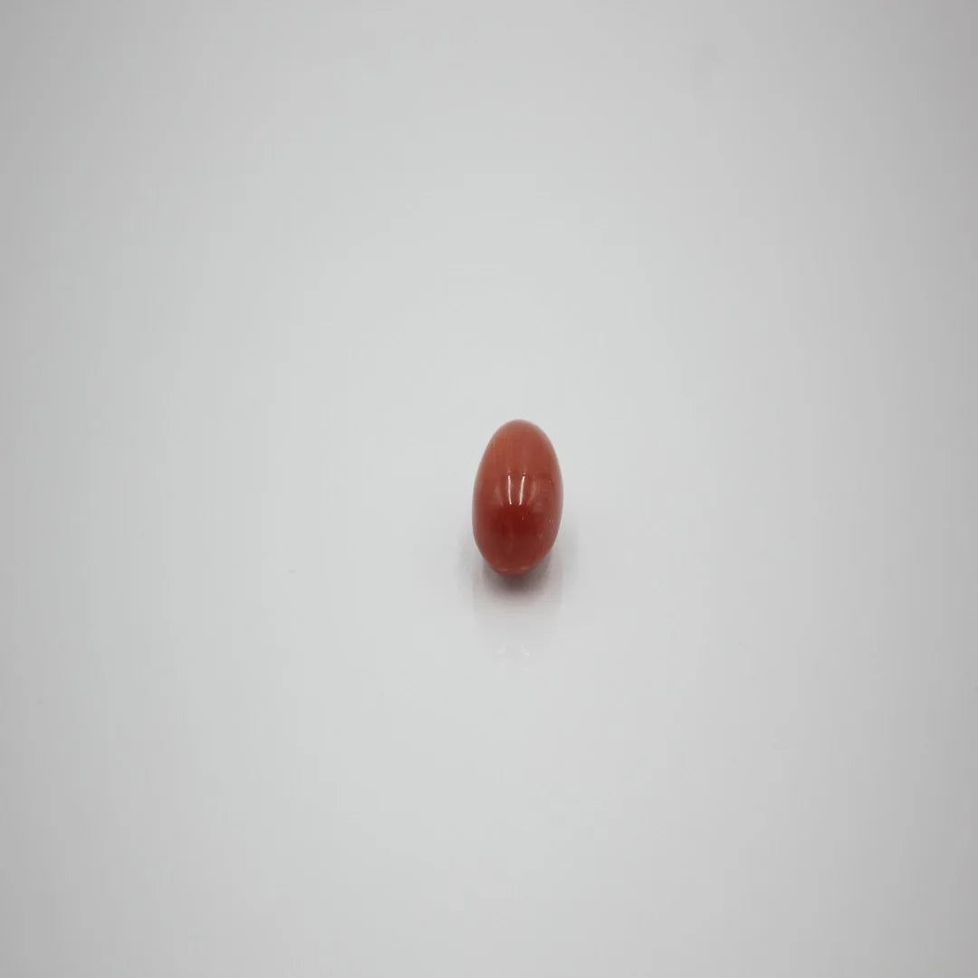 moonga premium 4