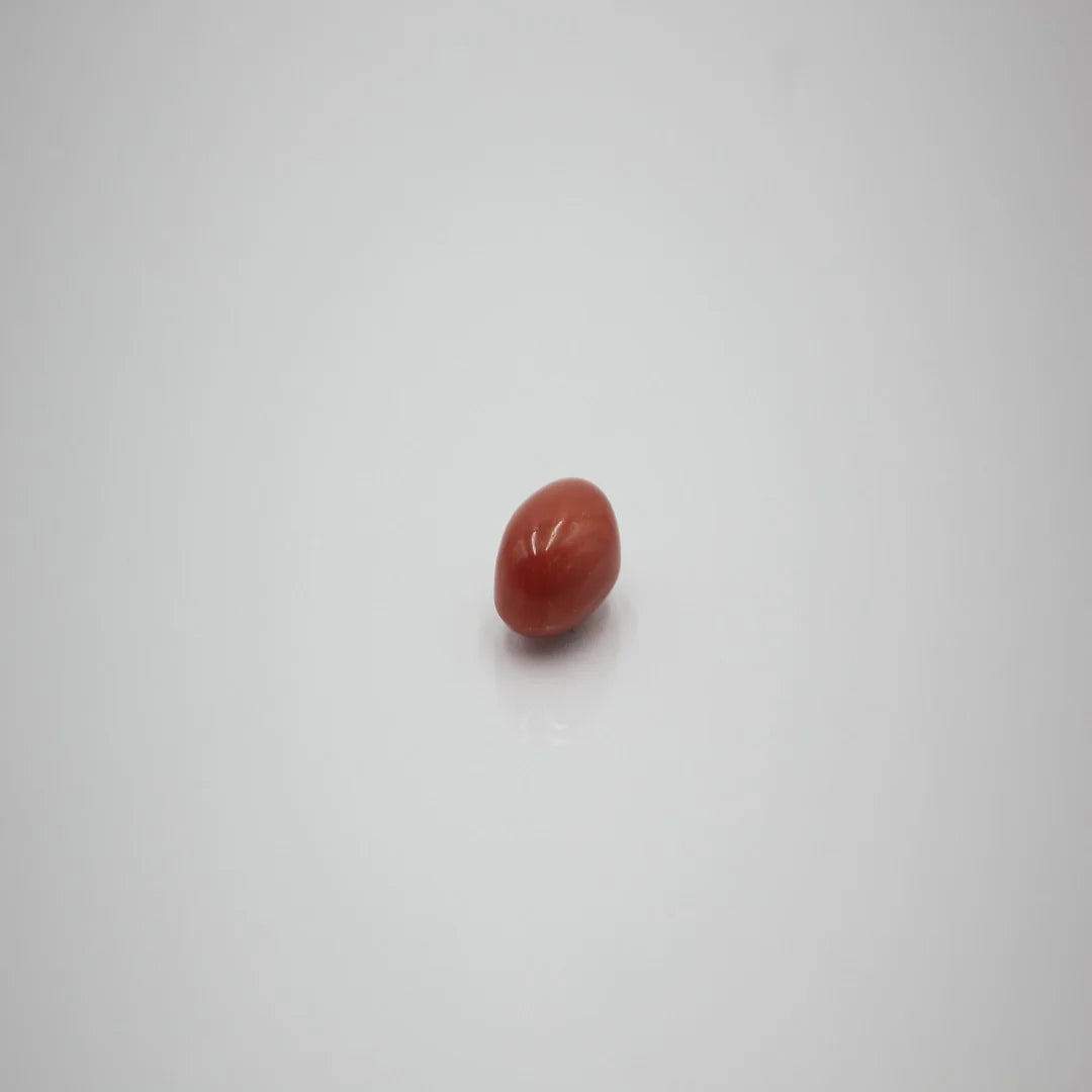 moonga premium 5
