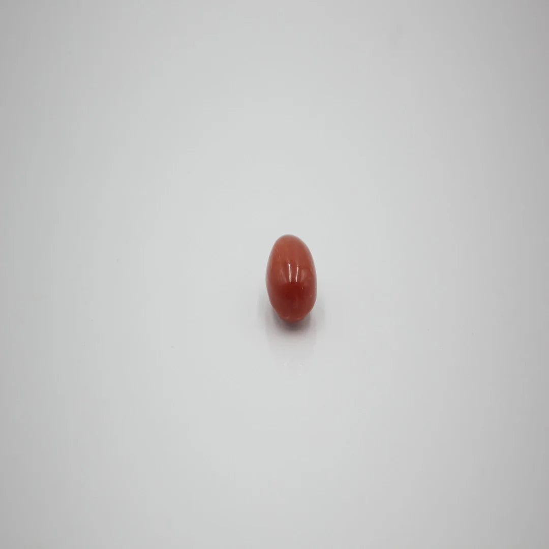 moonga premium 7
