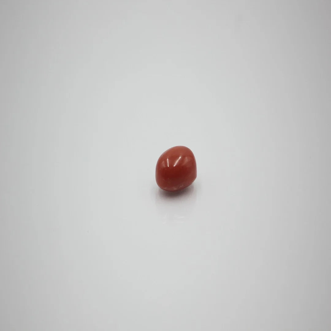 moonga premium 8