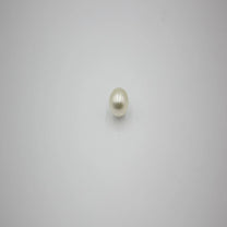 moti premium 3
