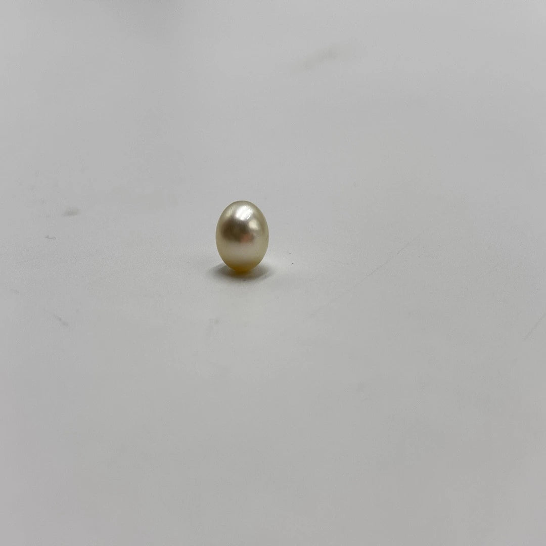 moti standard 3