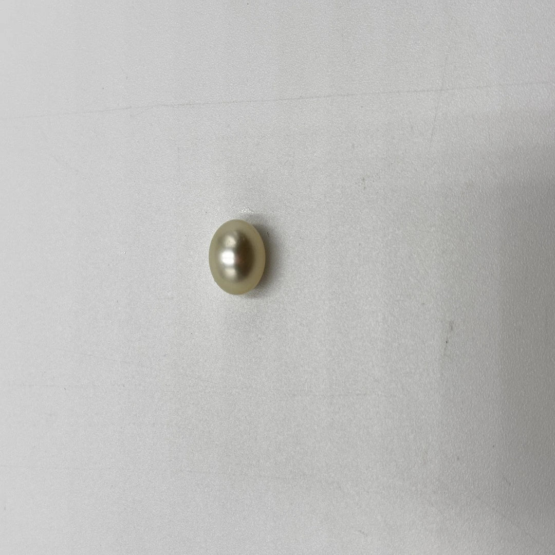 moti standard 4