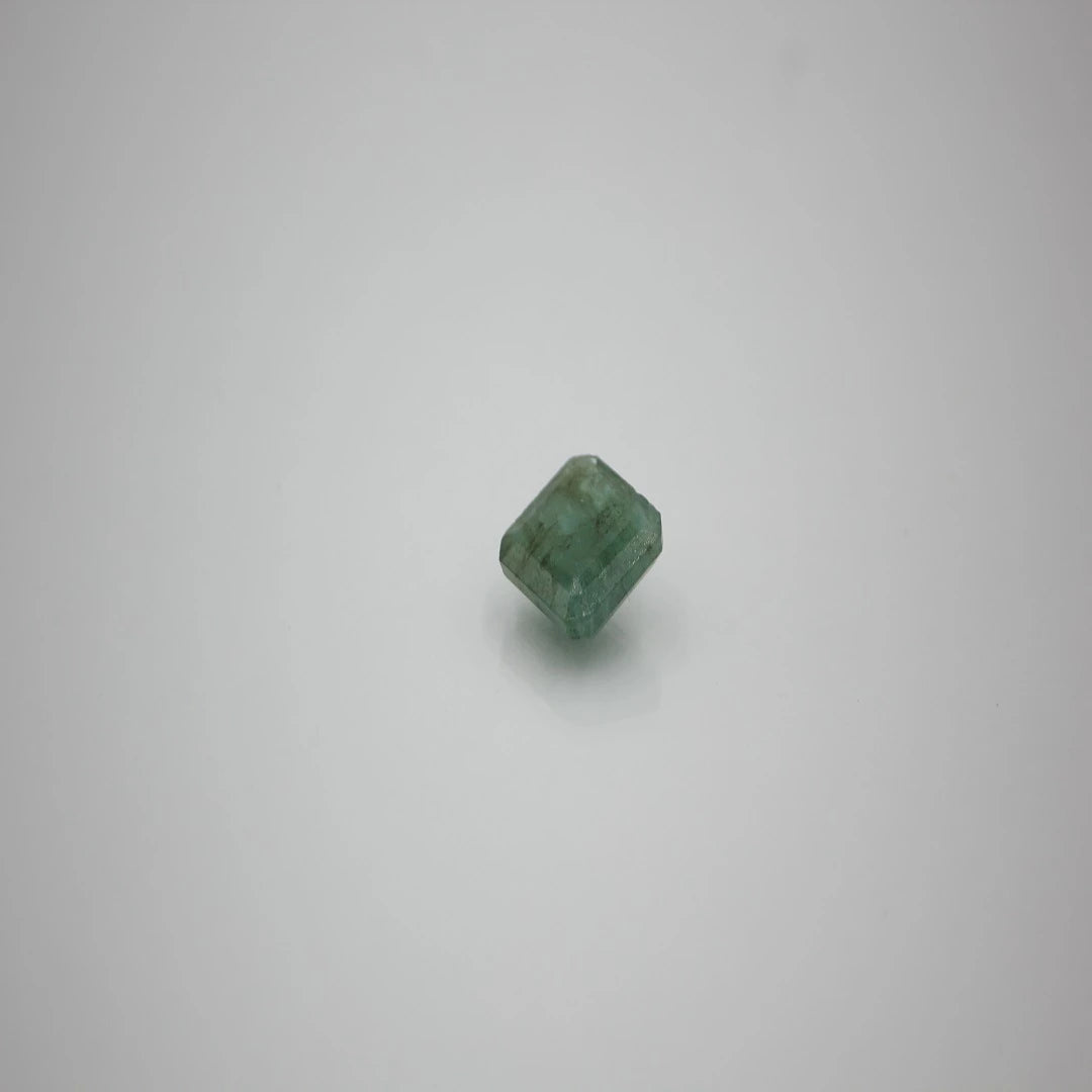 panna premium 1