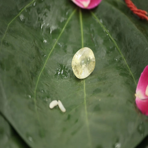 Yellow Sapphire (Pukhraj) Gemstone - Premium